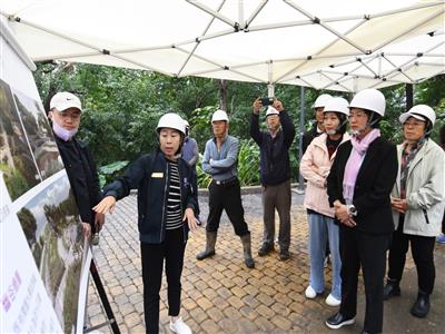 大佛綠地森呼吸 重現八卦山風華