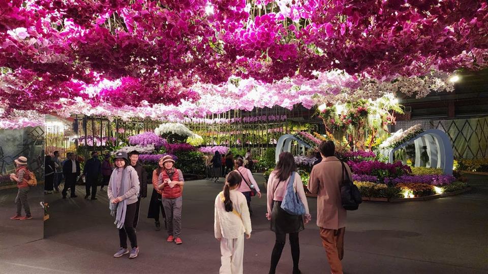 縮圖：04花在彰化室內