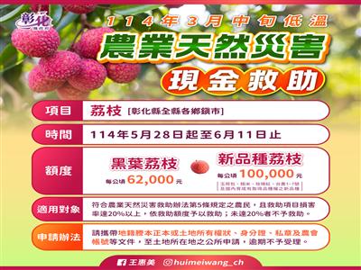 公告本縣為辦理荔枝114年3月中旬低溫農業天然災害現金救助及低利貸款地區