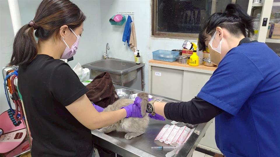 圖片來源：彰化縣政府