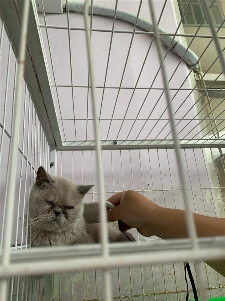 圖片來源：彰化縣政府