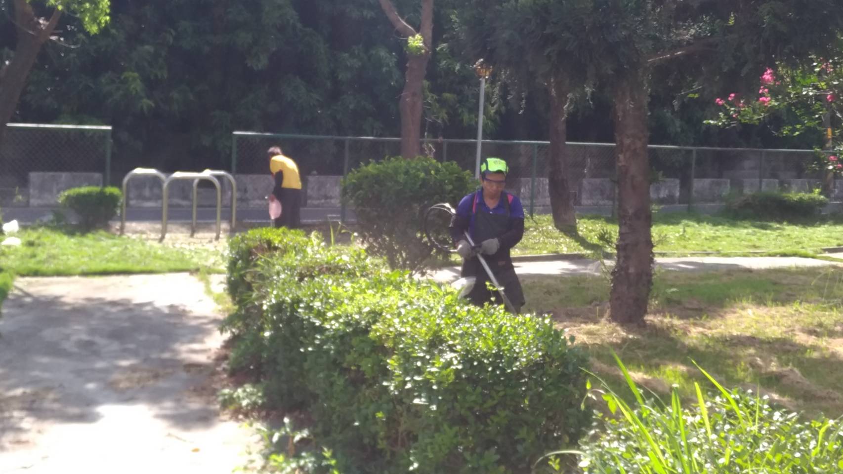 〔環境維護〕埤頭公園清除雜草清除雜草