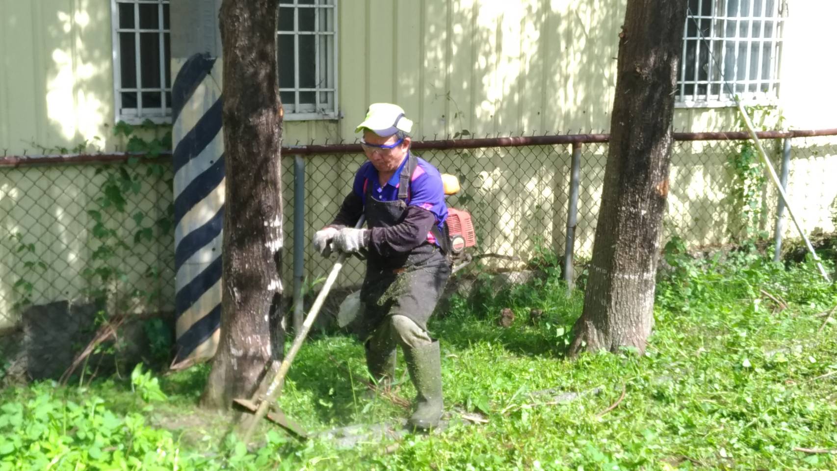 〔環境維護〕埤頭公園清除雜草清除雜草