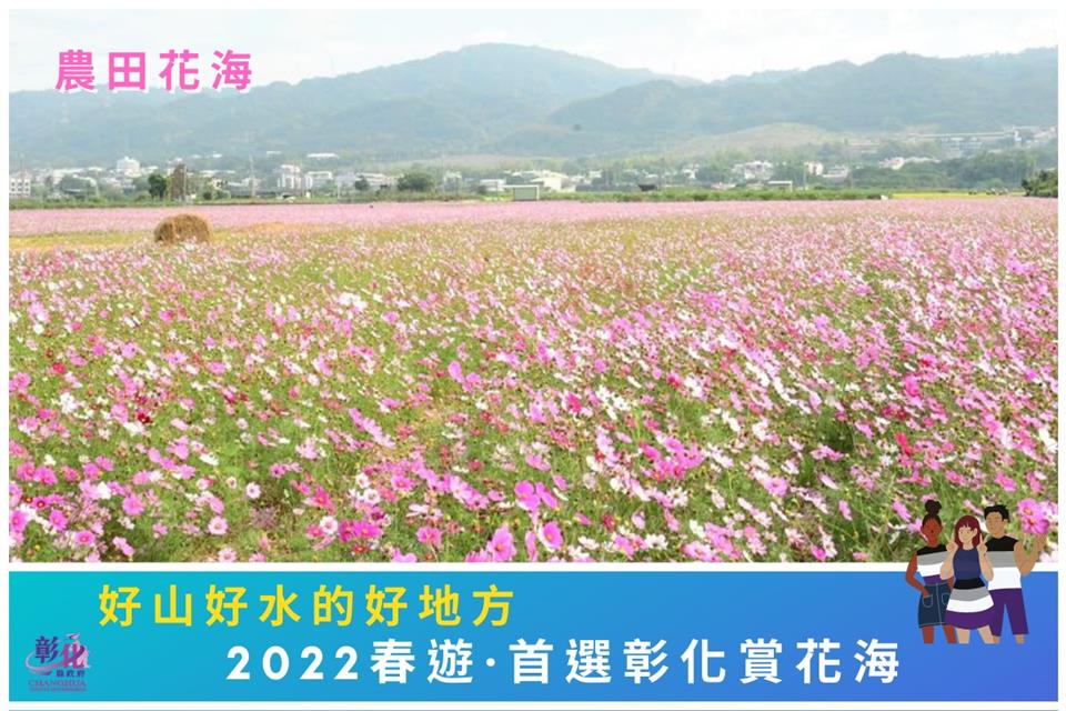 2022春遊彰化賞花海