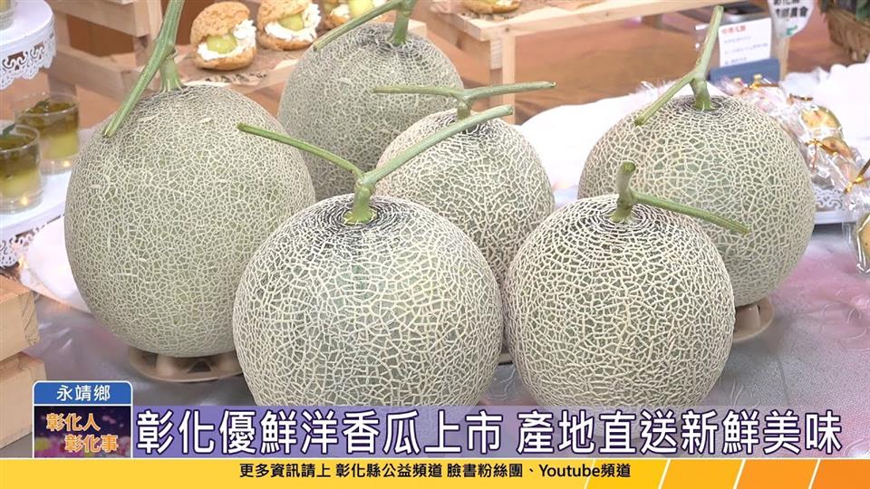 113-08-27 彰化永靖洋香瓜新鮮上市 送禮自用兩相宜