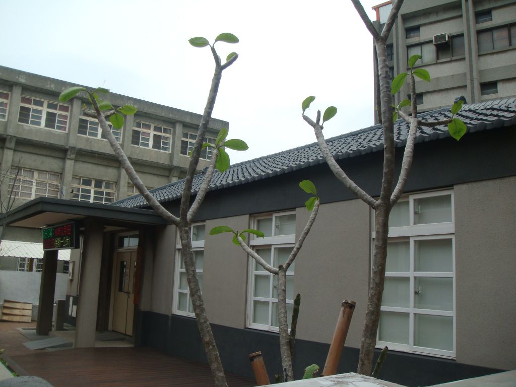 田園藝廊-簡介線西圖書館-田園藝廊簡介圖片-2