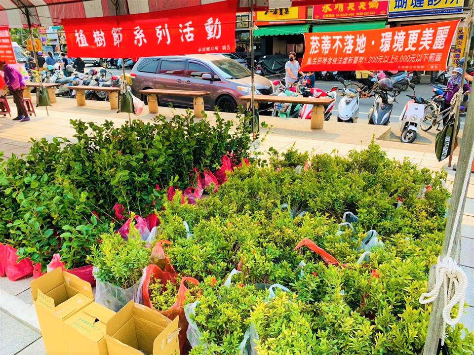 永靖鄉112年植樹月贈苗活動矮仙丹及茶花