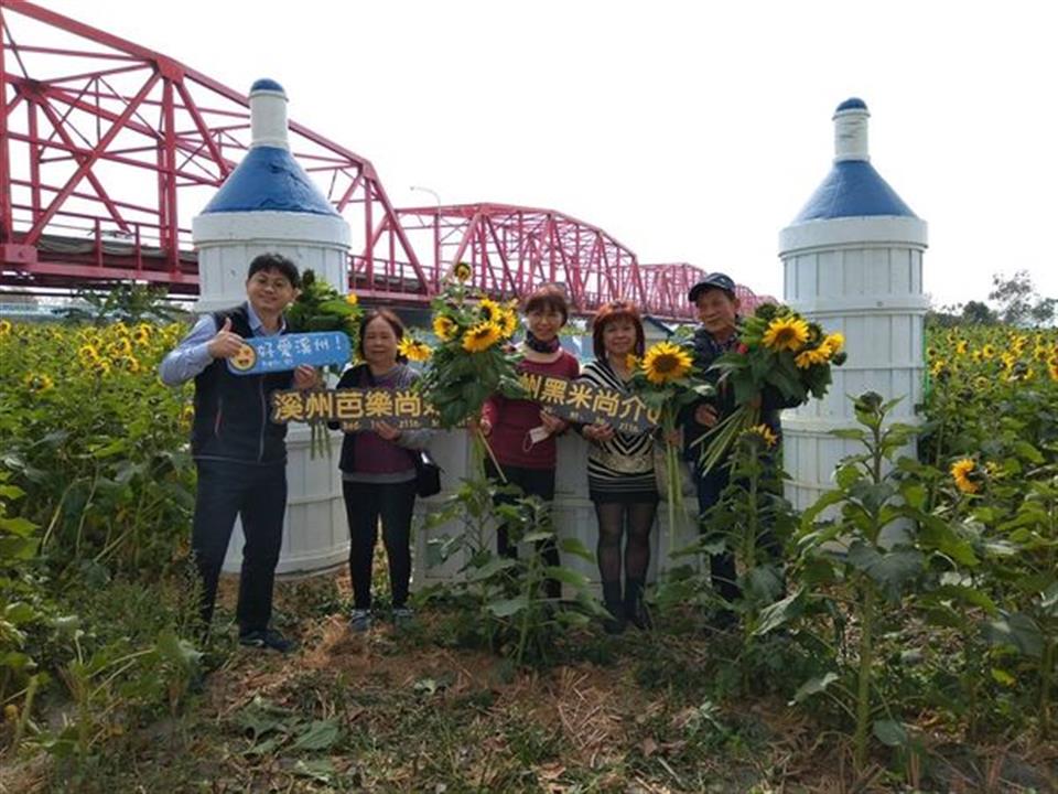 112年2月在西螺大橋下（水尾端）,#向日葵花海，現已百花綻放、金黃映簾，歡迎民眾前往賞花、打卡拍照