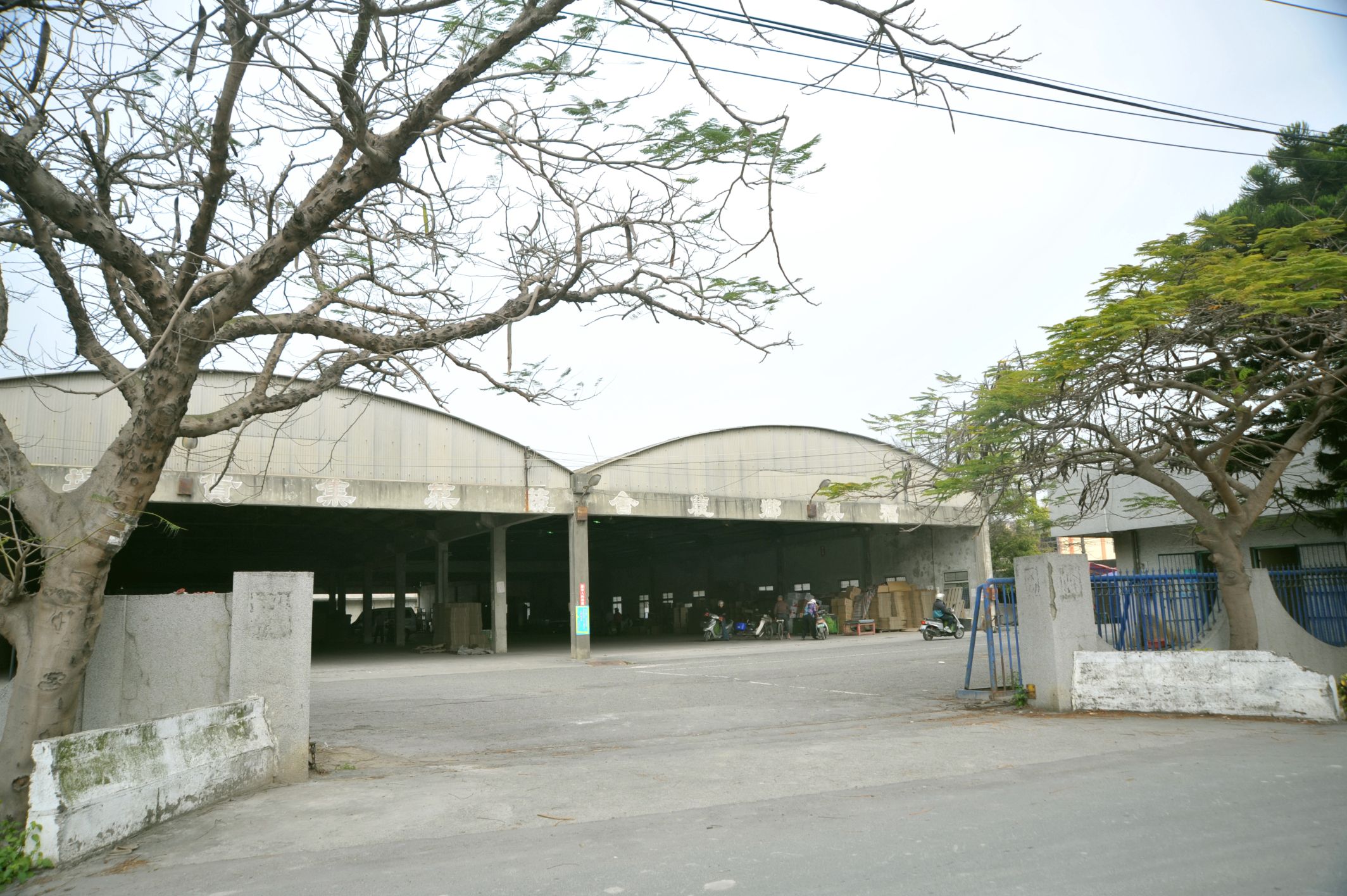 外中村外中村外中豌豆市場