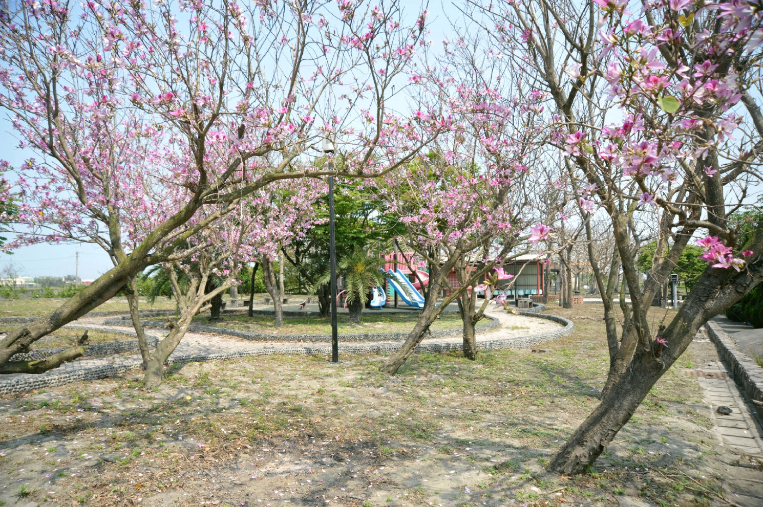 廈粘村廈粘村福興鄉公園