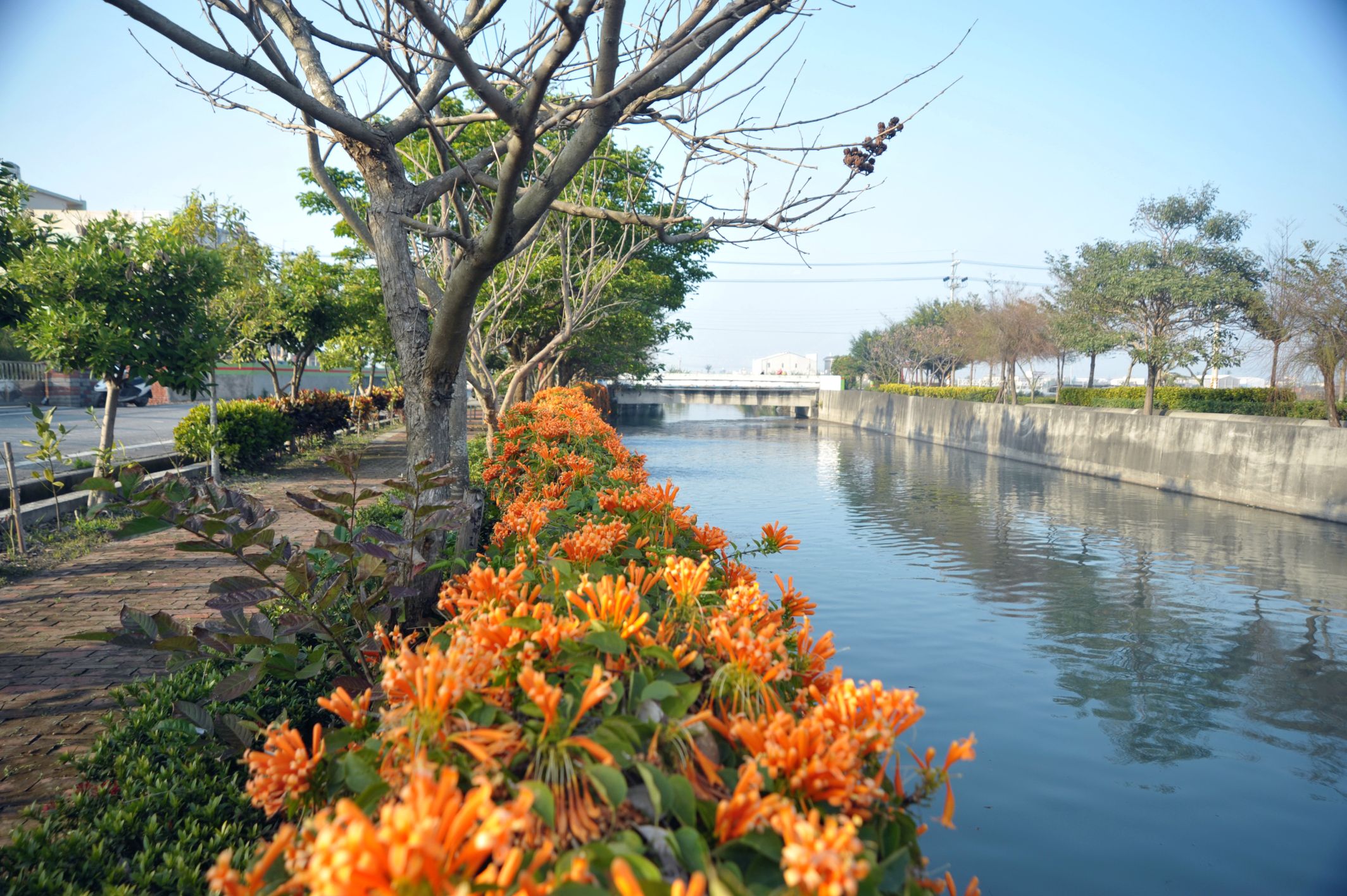 社尾村社尾村浮景公園