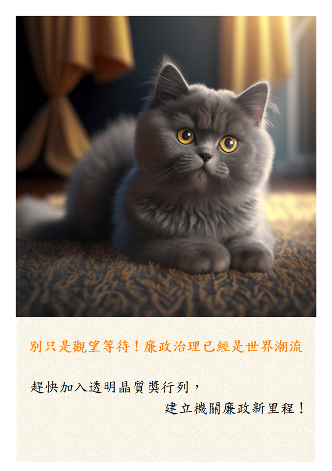 透明晶質獎宣導6