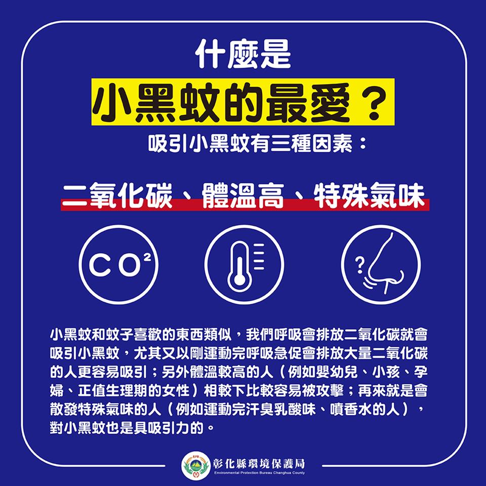 清潔隊小黑蚊的最愛
