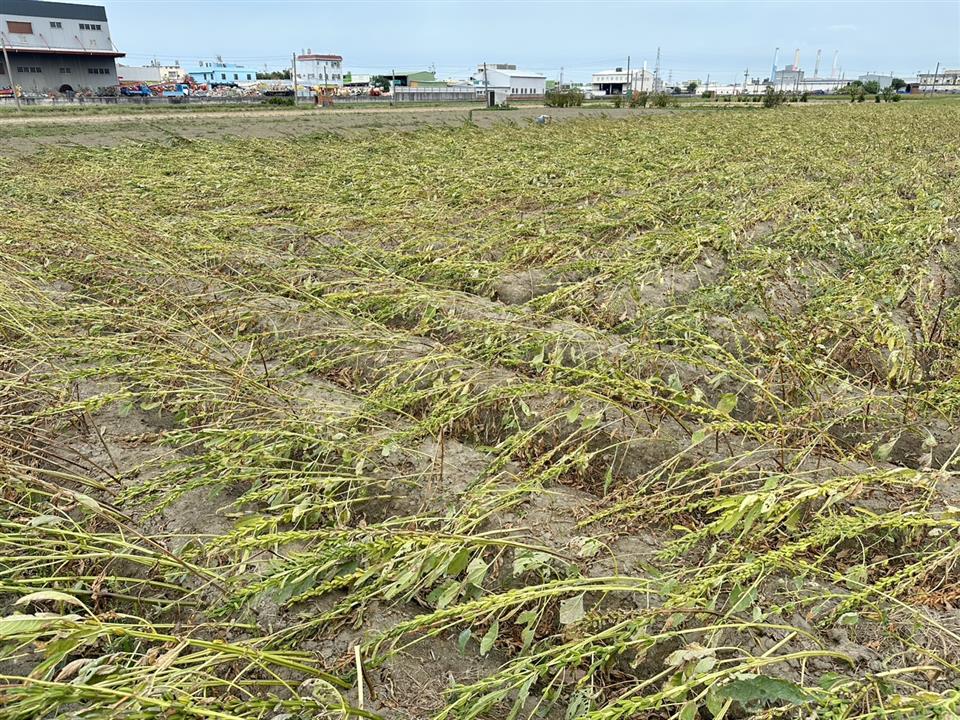 圖片來源：彰化縣政府