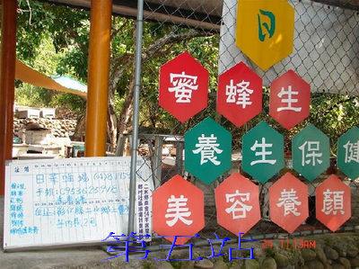 輕裝悠閒一日遊【登山型】日華養蜂場