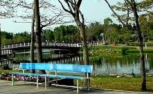 溪州公園(花博)園內綠草如茵、小橋流水，各種花卉樹木應有盡有，春節期間晚間更有點燈活動，值得一遊。