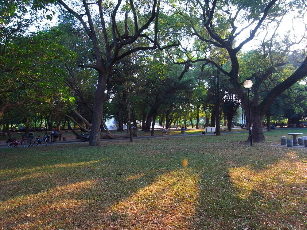 溪州森林公園原為溪州糖廠一部分，是彰化縣老樹最密集的公園，平日眾多民眾在此休憩玩樂。