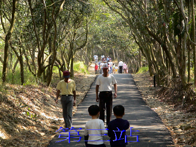 忙裡偷閒半日遊<路線一>豐柏登山步道